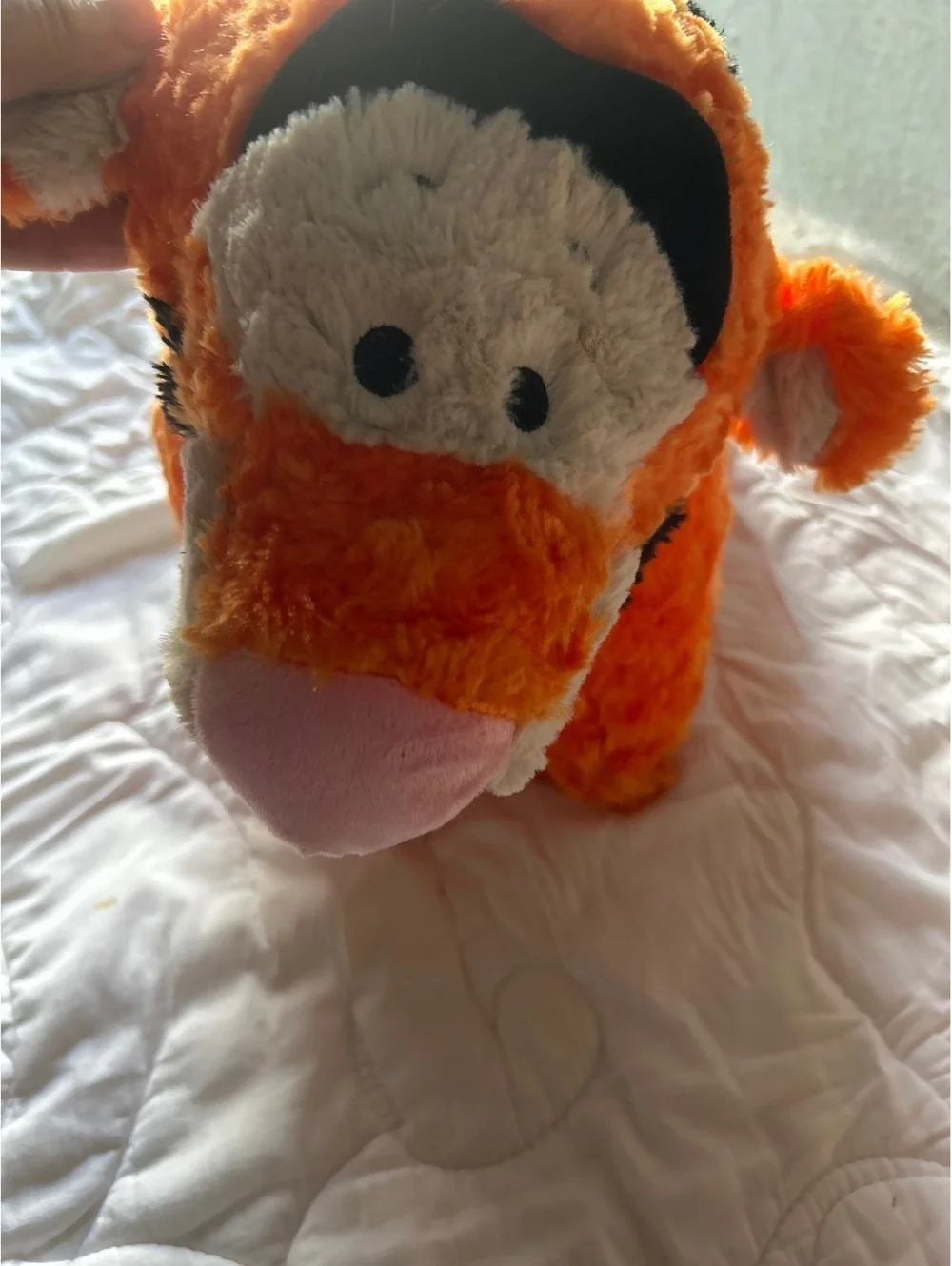 Disney’s parks, plush Tigger pillow
